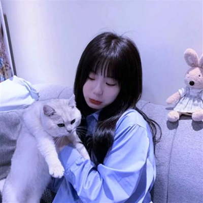 漂亮女生怀抱萌猫头像大全(精选24张)