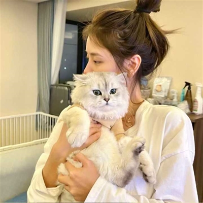 漂亮女生怀抱萌猫头像大全(精选24张)