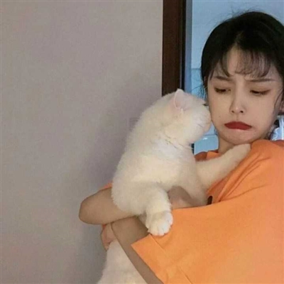漂亮女生怀抱萌猫头像大全(精选24张)