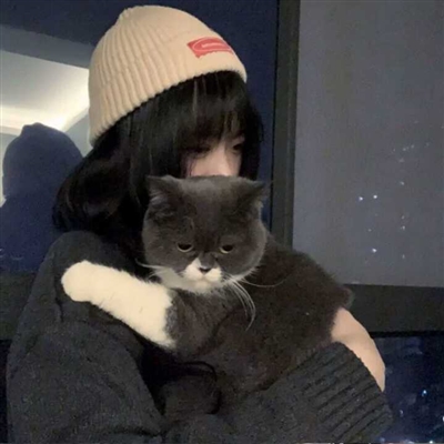 漂亮女生怀抱萌猫头像大全(精选24张)