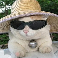 不同风格的猫王头像(20张)