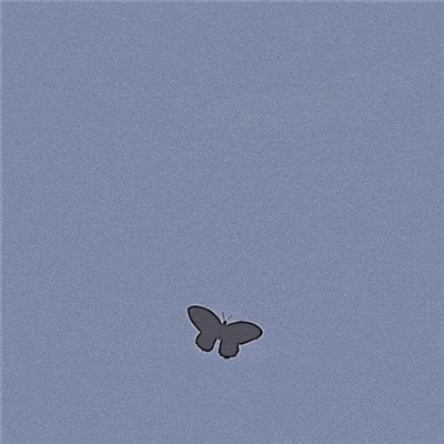 清爽干净的图片微信头像(精选22张)