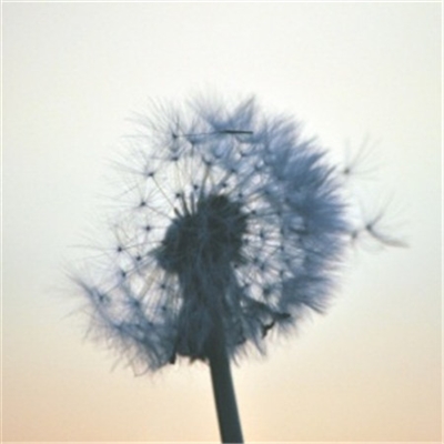 清爽干净的图片微信头像(精选22张)