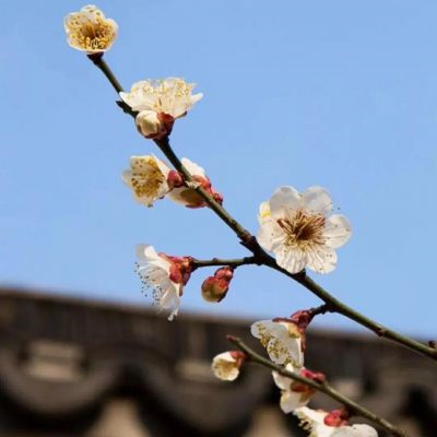 唯美意境的微信风景头像大全(优选20张)