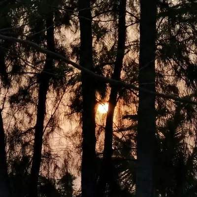 唯美意境的微信风景头像大全(优选20张)