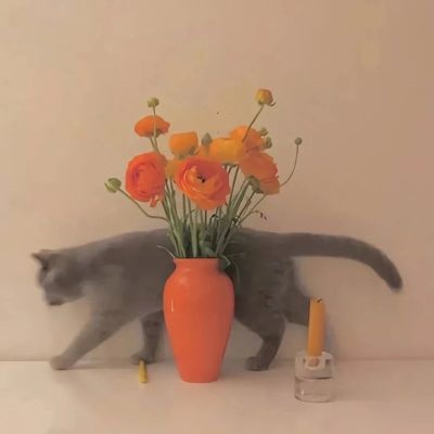 唯美意境的微信风景头像大全(优选20张)