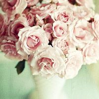 微信头像图片大全花朵唯美图片精选(共24张)