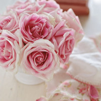 微信头像图片大全花朵唯美图片精选(共24张)