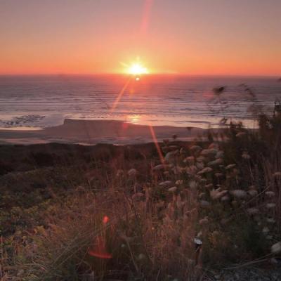 吉祥好运的微信头像图片(20张)