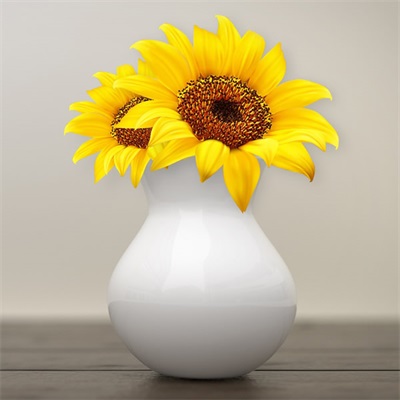 适合做头像的花朵图片(共13张)