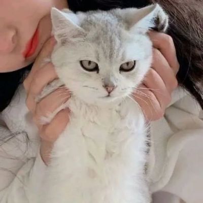 唯美情侣头像一左一右头像(精选22张)