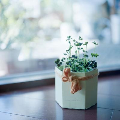 最好看最流行的微信头像(22张)