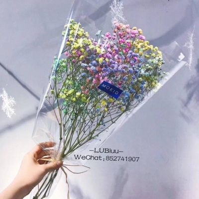 最好看最流行的微信头像(22张)