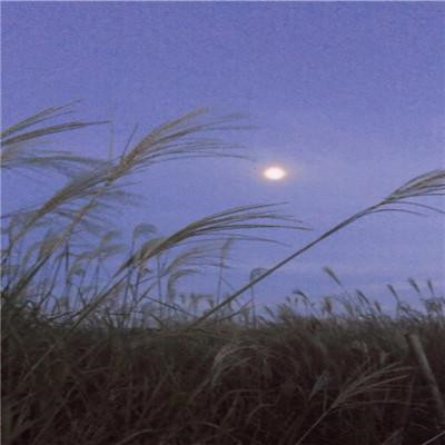 最好看最流行的微信头像(22张)