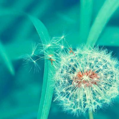 最好看最流行的微信头像(22张)