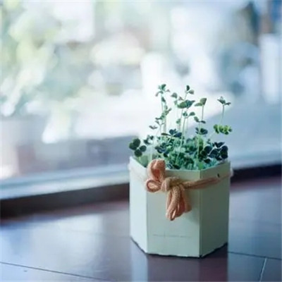 最好看最流行的微信头像(22张)