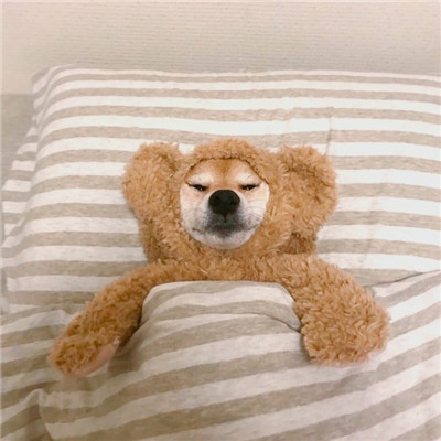 有意境的文艺微信头像(20张)