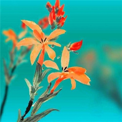 充满正能量的头像图片(精选22张)