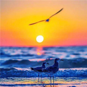 给你带来好运的微信头像(精选24张)