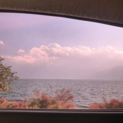 给你带来好运的微信头像(精选24张)