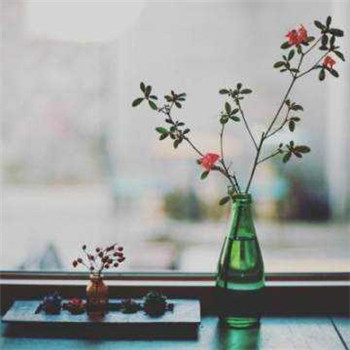 给你带来好运的微信头像(精选24张)