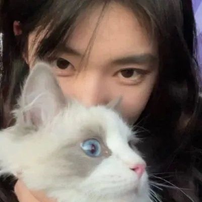 全网最火情侣头像两张图(优选18张)