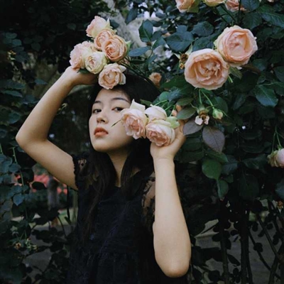 高清意境女头像图片(22张)