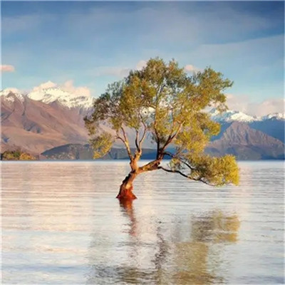 2023年幸运头像图片(24张)