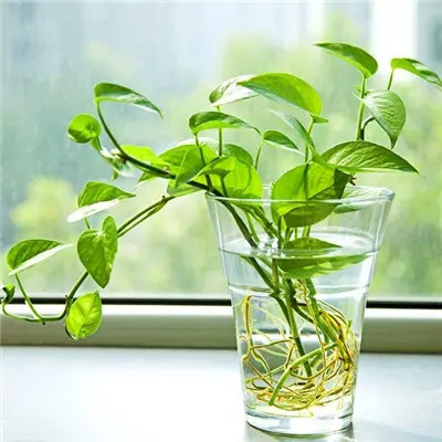 2023年幸运头像图片(24张)