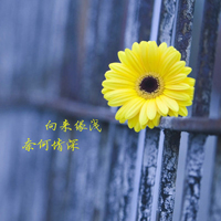 好看的微信头像向日葵图片唯美(18张)