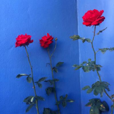 女人最旺财的微信头像(优选24张)