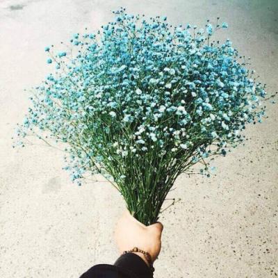 女人最旺财的微信头像(优选24张)