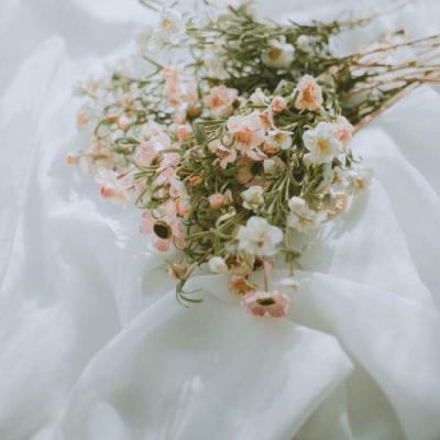 女人最旺财的微信头像(优选24张)