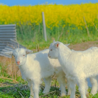 女人最旺财的微信头像(优选24张)