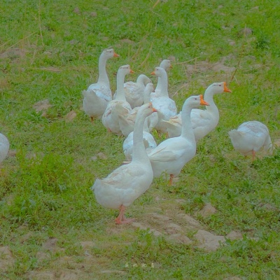 女人最旺财的微信头像(优选24张)