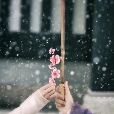 女人最旺财的微信头像(优选24张)