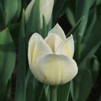 高清优美的微信风景头像图片大全(优选24张)