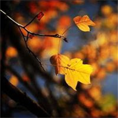 高清优美的微信风景头像图片大全(优选24张)