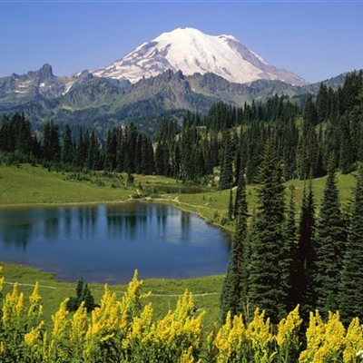 2023最好看的微信风景头像(24张)