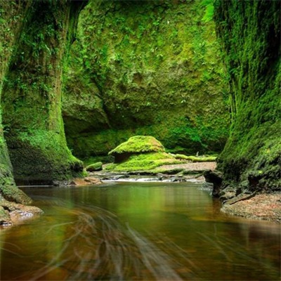 优美风景微信头像图片大全(共27张)