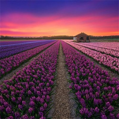 优美风景微信头像图片大全(共27张)