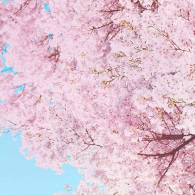 优美风景微信头像图片大全(共27张)