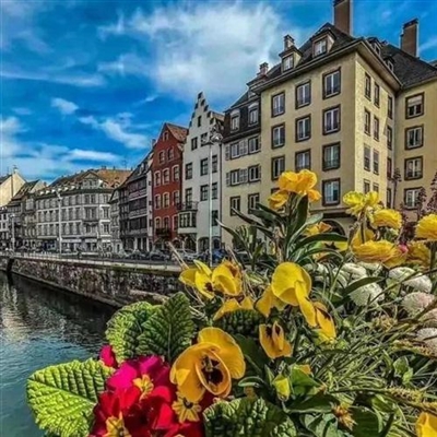 优美风景微信头像图片大全(共27张)