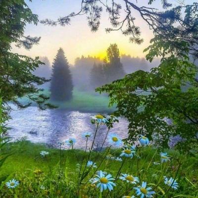 优美风景微信头像图片大全(共27张)