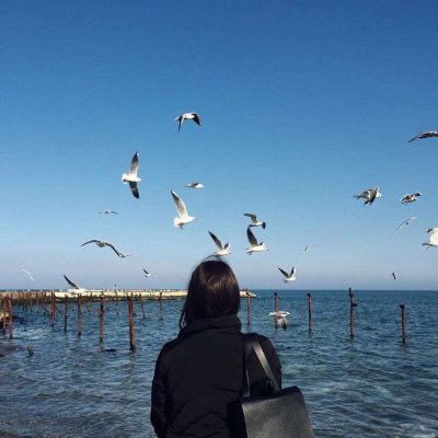 女生海边头像背影图片(26张)