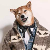 最近特别火的穿衣服狗头像(精选16张)