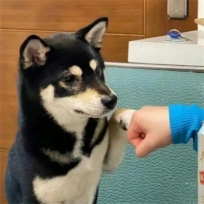 个性有趣的微信头像(共22张)