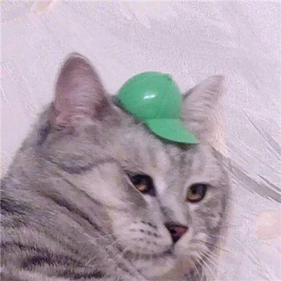 个性有趣的微信头像(共22张)