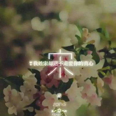 宋氏头像配上好看的图片(18张)