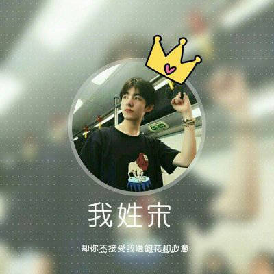 宋姓微信头像图片大全(共15张)